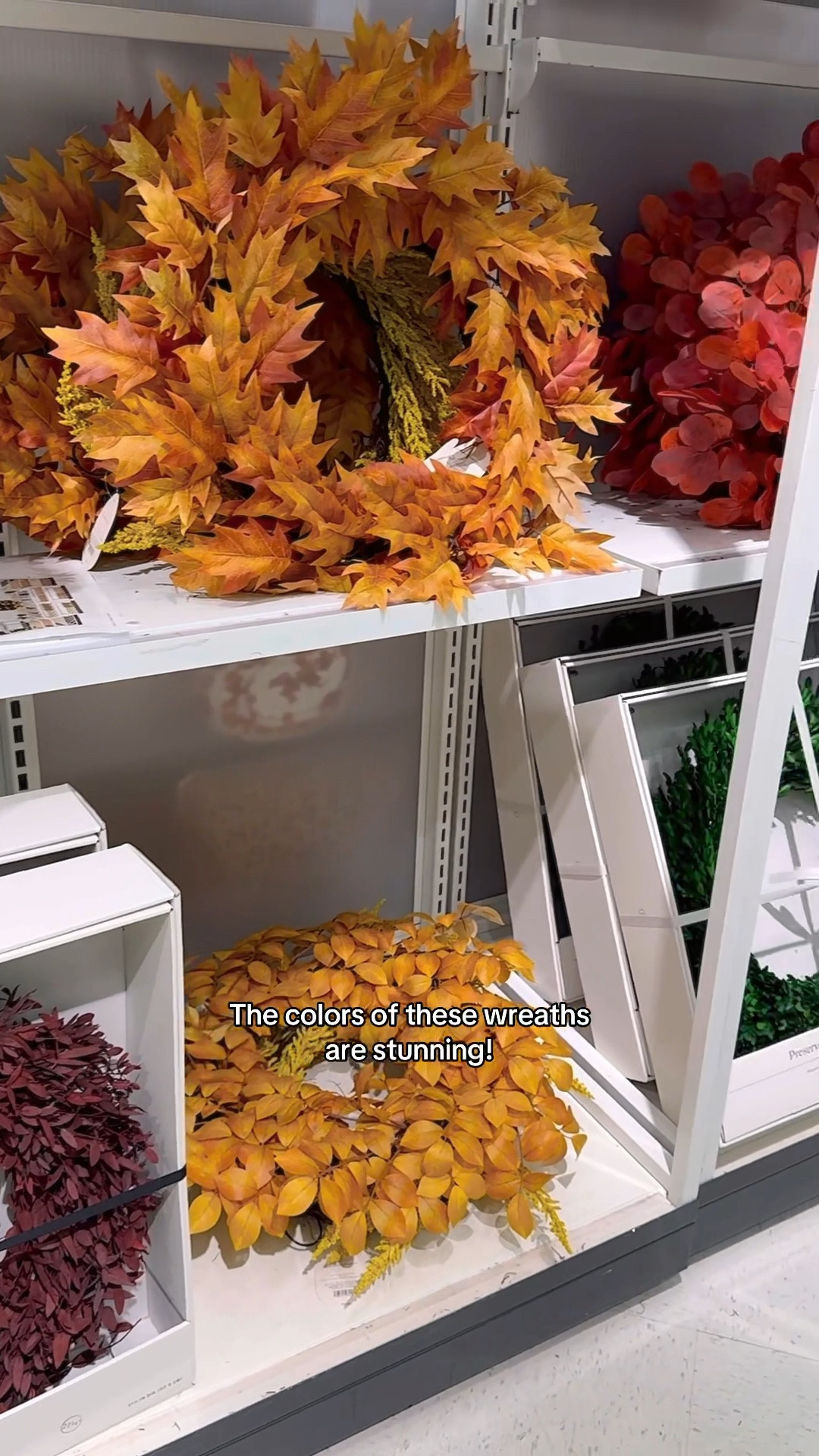 Target fall home decor haul
Fall wreaths
Fall pumpkins
Home decor
Target style



#LTKHome #LTKVideo #LTKSeasonal