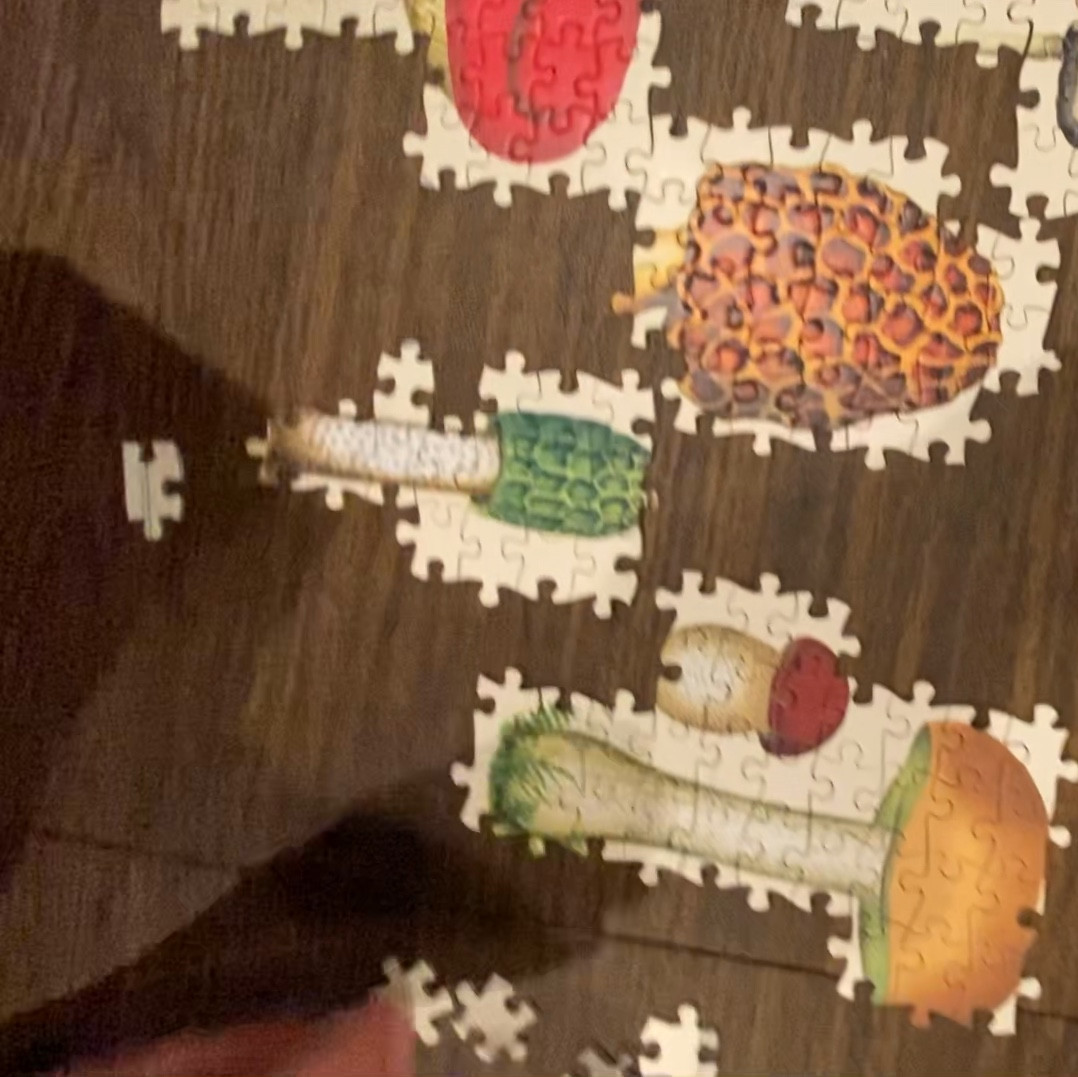 If you like a bit of a challenge, this is a good one. The edge pieces are virtually the same & there are a lot of blank pieces between the mushrooms. After the mushrooms were finished, we spent lots of time shape matching! Fun for us 🙌🏼

#LTKGiftGuide #LTKVideo #LTKfamily