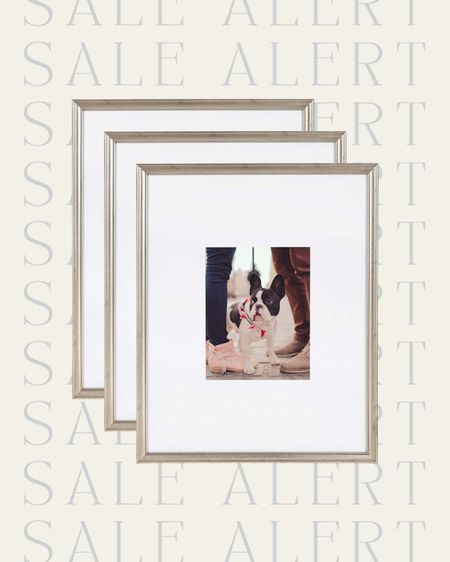 Sale alert 🚨 my favorite frames are back in stock in silver! 10% off and an extra coupon! 

Amazon sale, sale, sale find, sale alert, Picture frame, matted frame, frame, wall decor, wall art, silver frames, back in stock, bedroom, living room, gallery wall, seating area, entryway, hallway, dining room, Modern home decor, traditional home decor, budget friendly home decor, Interior design, look for less, designer inspired, Amazon, Amazon home, Amazon must haves, Amazon finds, amazon favorites, Amazon home decor #amazon #amazonhome


#LTKhome #LTKstyletip #LTKsalealert