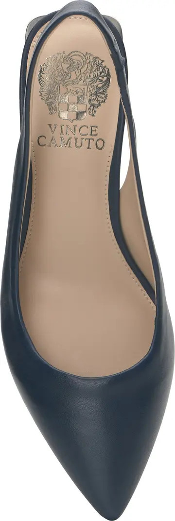 Hamden Slingback Pointed Toe Pump (Women) | Nordstrom