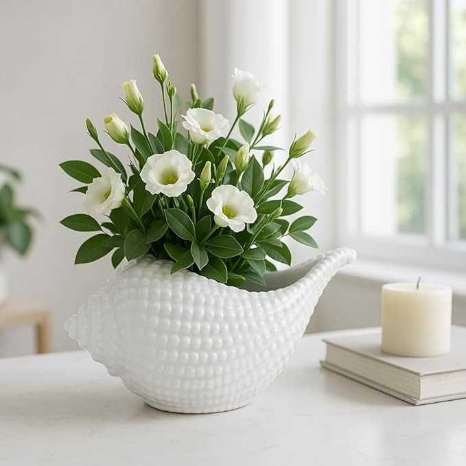 Amazon.com: Sagebrook Home Ceramic Seashell Planter, 10 Inch - Coastal White Decor Accent : Patio... | Amazon (US)