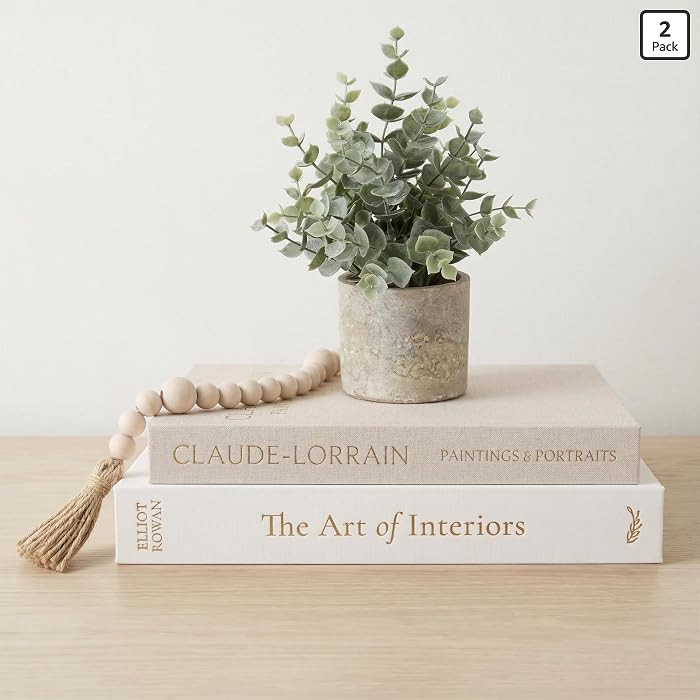 Vine Creations Decorative Books - Set of 2 Linen Hardcover Boxes with Storage - Aesthetic Fake Bo... | Amazon (US)