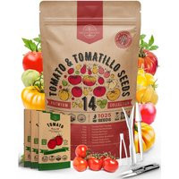 14 Tomato & Tomatillo Seeds Variety Pack - Heirloom Rare Varieties, Indoor & Outdoor Gardening | Etsy (US)