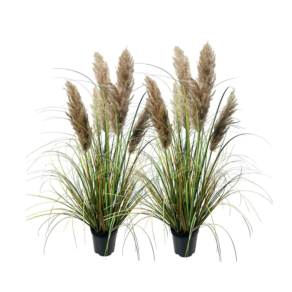 Artificial Plants Faux Pampas Grass Decoration 35"/3ft - Natural Fluffy Pampas Flowers - Boho Chi... | Amazon (US)