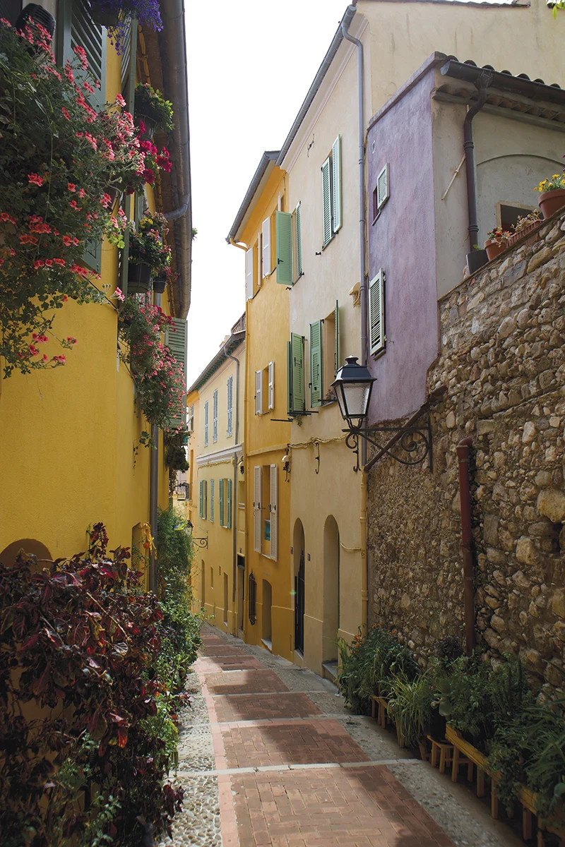 Lavender Path | Juniper Print Shop