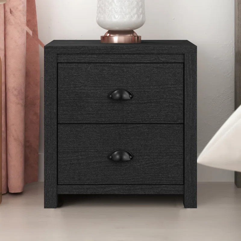Isenbert Crissman 2 Drawer Nightstand | Wayfair North America