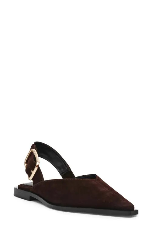 Steve Madden Shay Pointed Toe Slingback Flat in Brown Suede at Nordstrom, Size 6.5 | Nordstrom