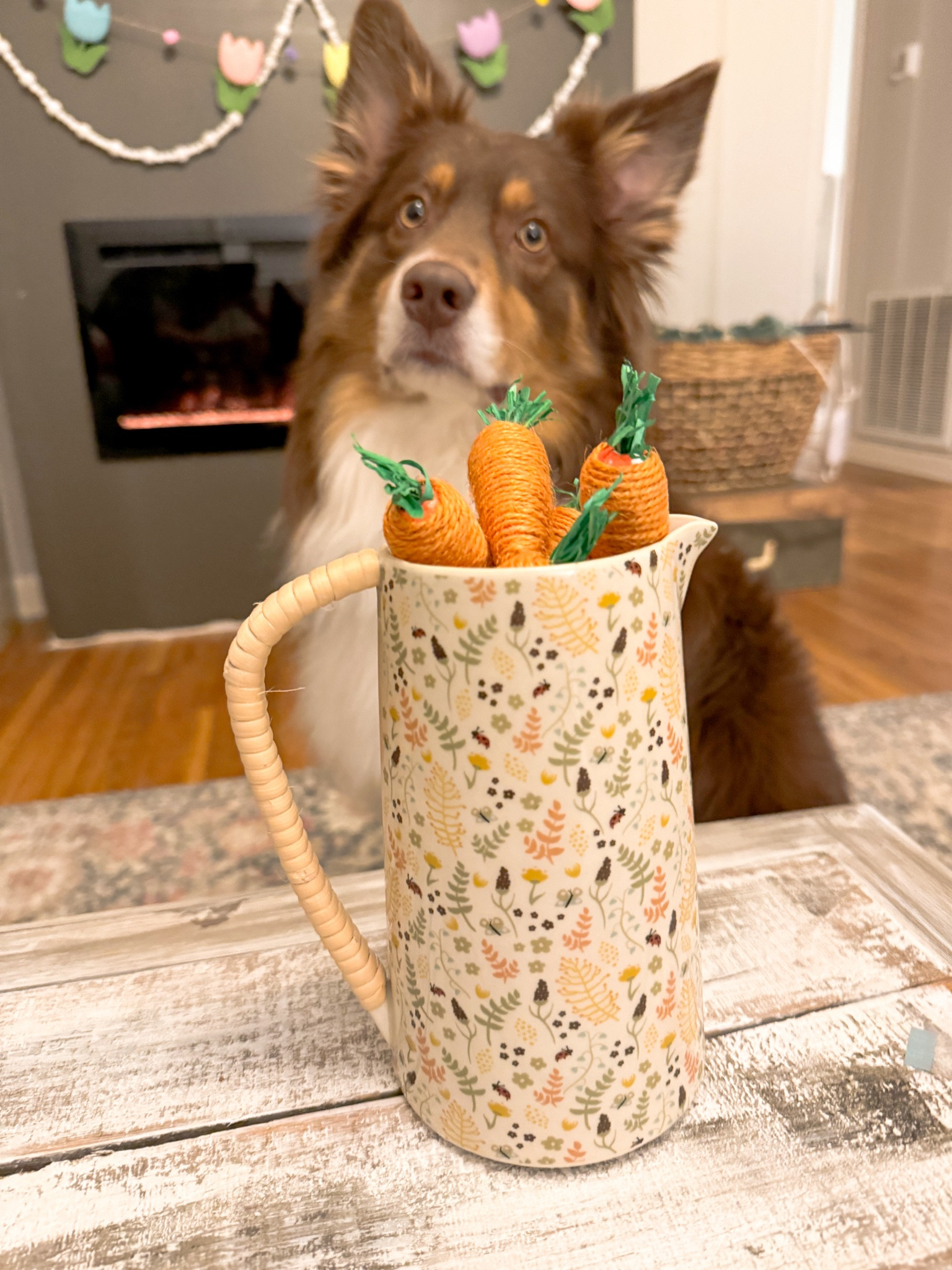 Finally got around to putting out some of my spring decor!
I love these little carrots! And cooper 🥕🩷

#LTKhome #LTKSeasonal