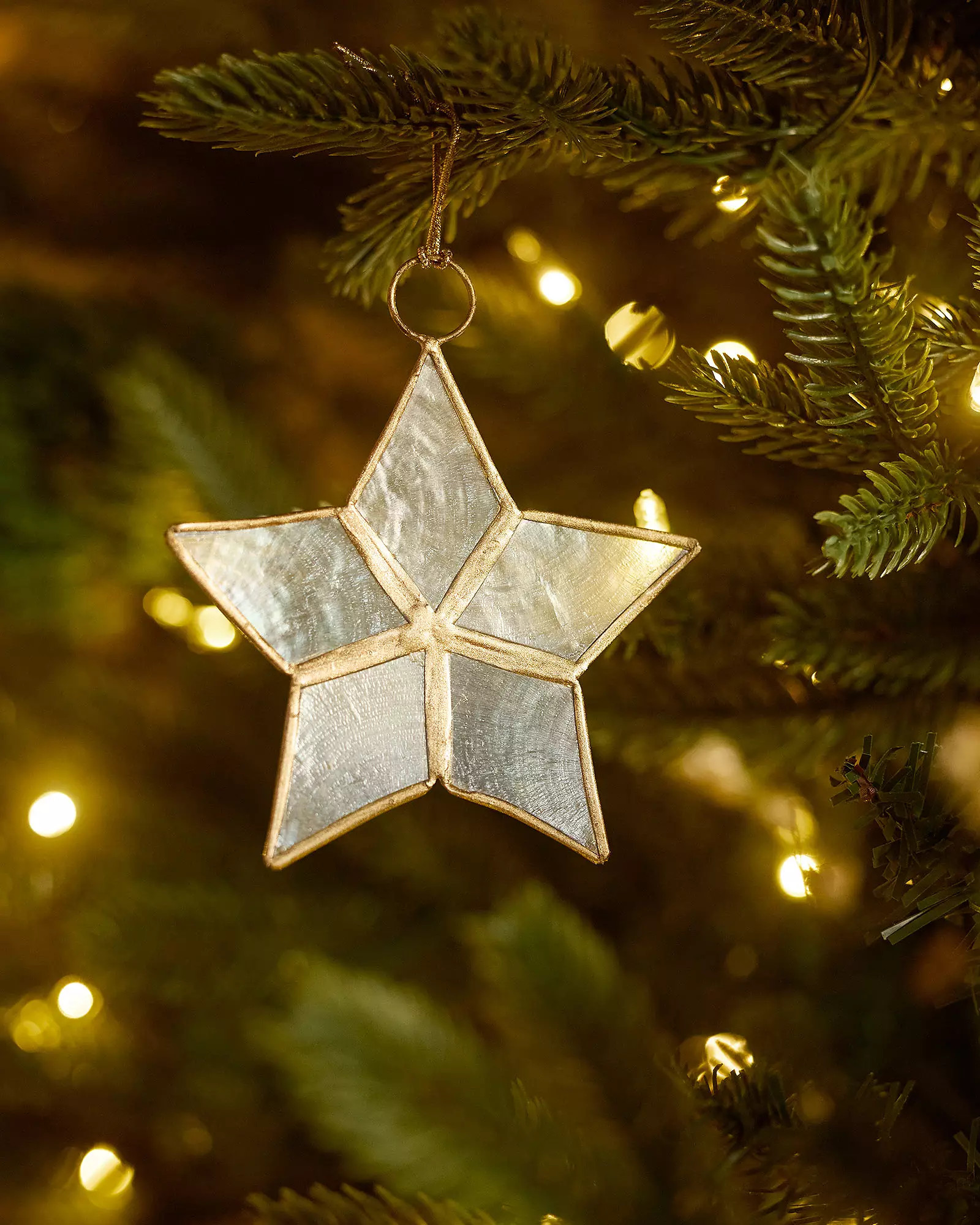 Decorative Capiz Star (Set of 2) | Serena and Lily