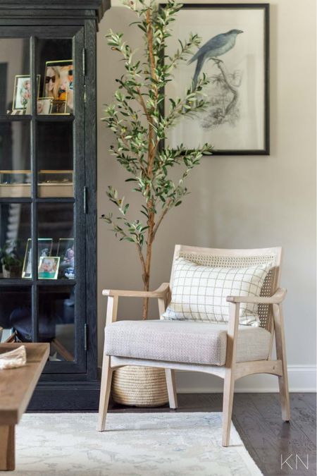 This little corner of my conversation room features this cane back accent chair, faux olive tree and bird print that comes in a pair of two. There’s also a peel of my black glass front curio cabinet that holds family mementos and memories. home decor living room decor seating Edgecomb gray paint neutral decor styling

#LTKstyletip #LTKsalealert #LTKhome