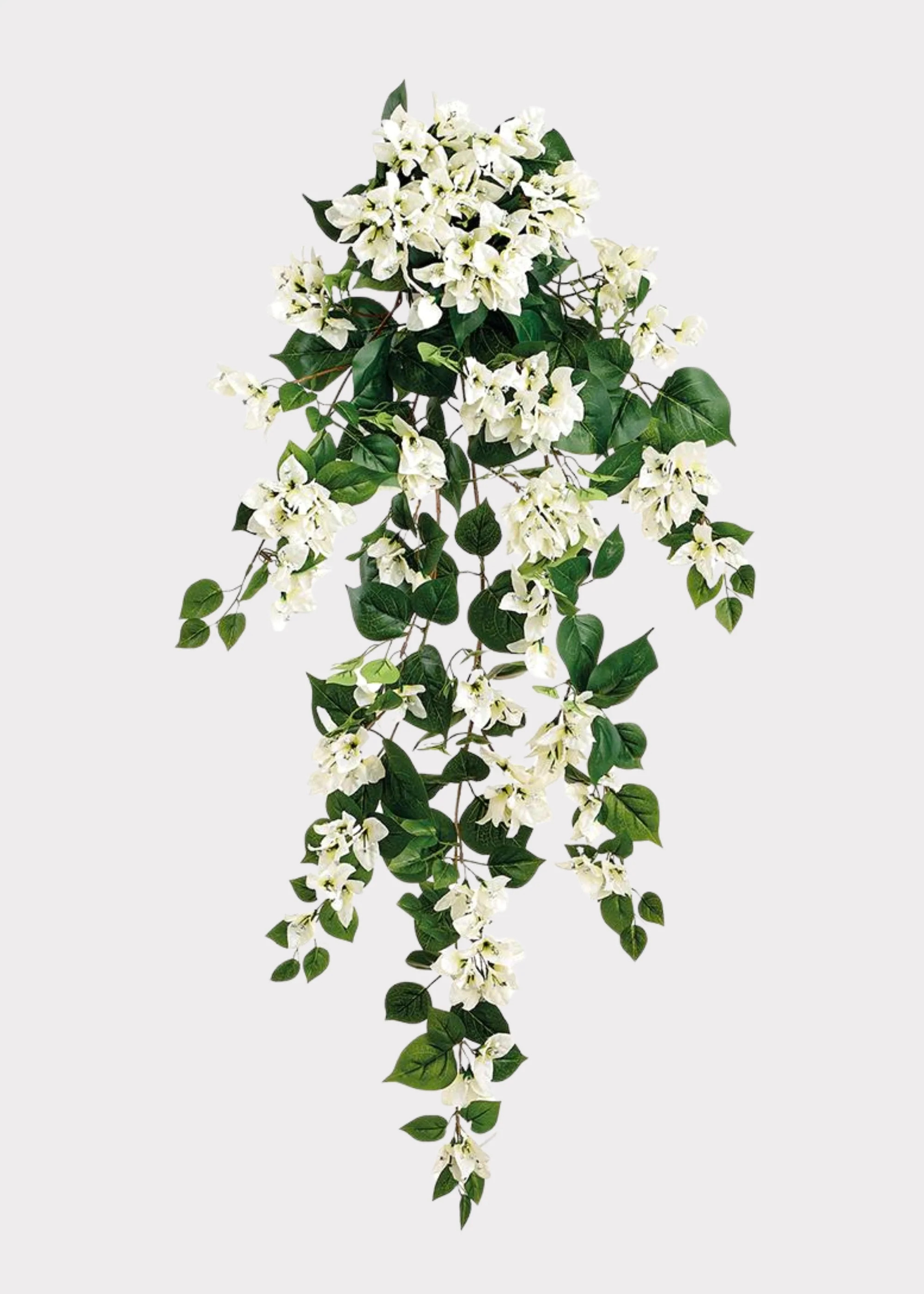 Bougainvillea Hanging Bush in Cream | Fake Outdoor Flowers | Afloral | Afloral