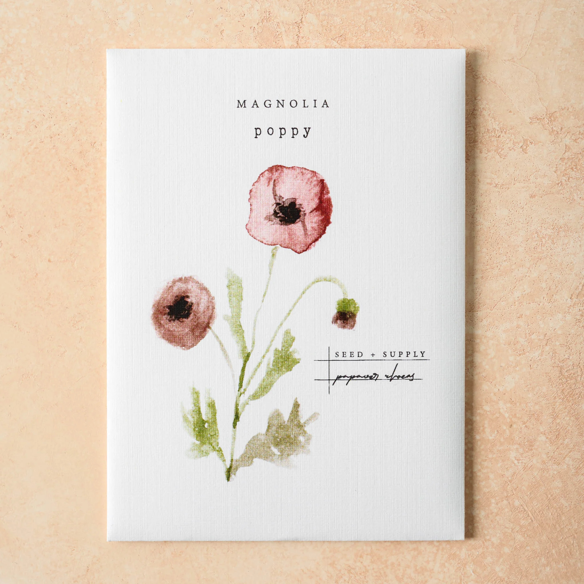 Watercolor Magnolia Seeds | Magnolia