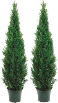 Silk Tree Warehouse Two 5 Foot Outdoor Artificial Cedar Topiary Trees Potted Plants Two Peace Con... | Amazon (US)