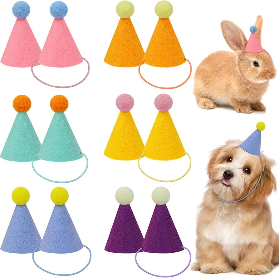 12pcs Mini Party Hats for Stuffed Animals, Birthday Party Cone Hats Dolls Dog Cat Rabbit Puppies ... | Amazon (US)