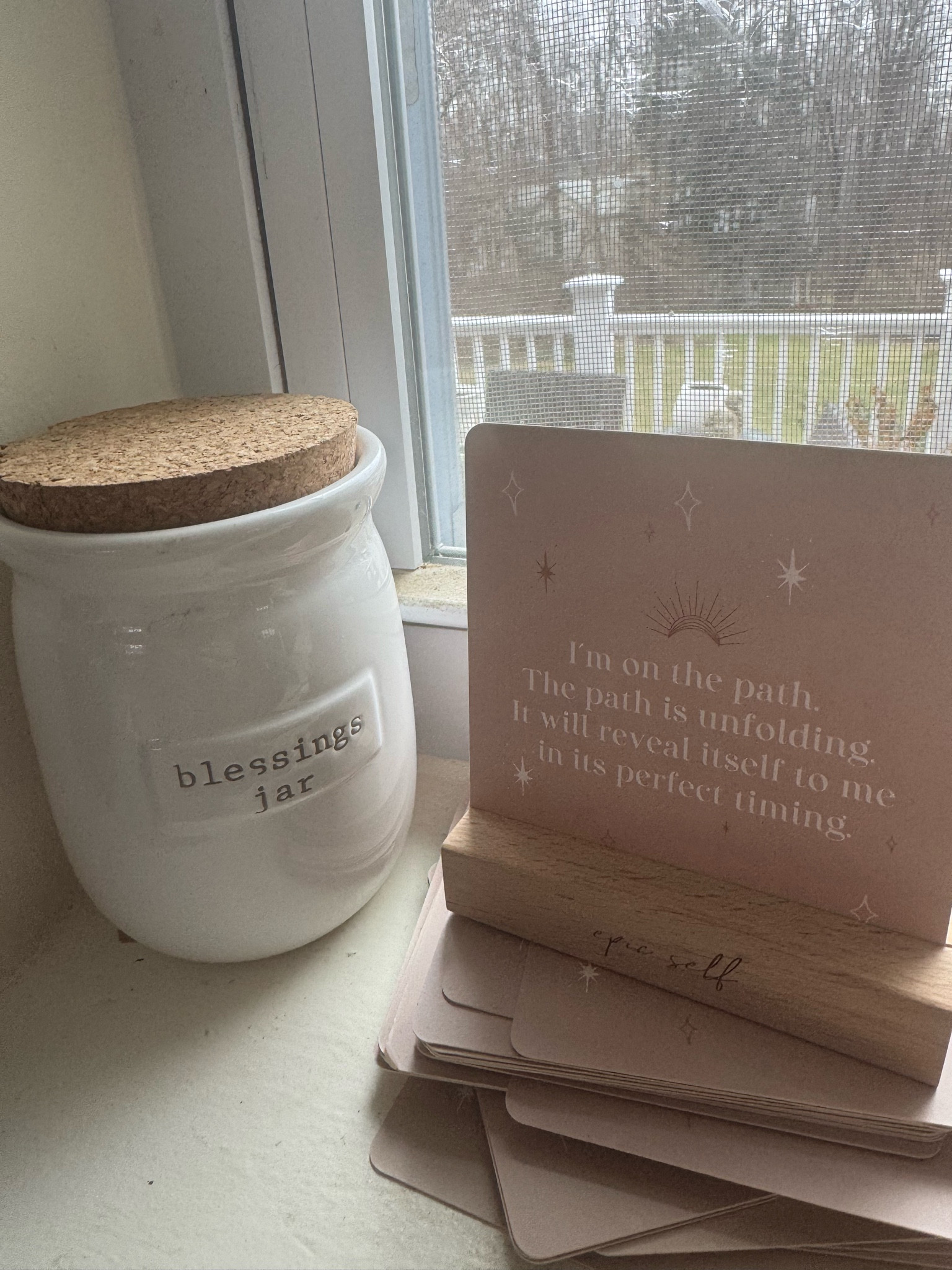 At the end of every year, I empty my jar and I read all of the things that I put in my blessings jar. I try to put something in there every week that I am grateful for and if my kids are home, I try to have them do the same thing and it’s really fun to read them at the end of the year. I also love these inspiration cards. 

#LTKFindsUnder50 #LTKSeasonal