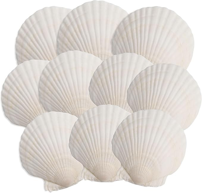 10PCS Scallop Shells, 4''-5'' White Seashells,for DIY Crafts, Painting, Ocean Themed Parties and ... | Amazon (US)
