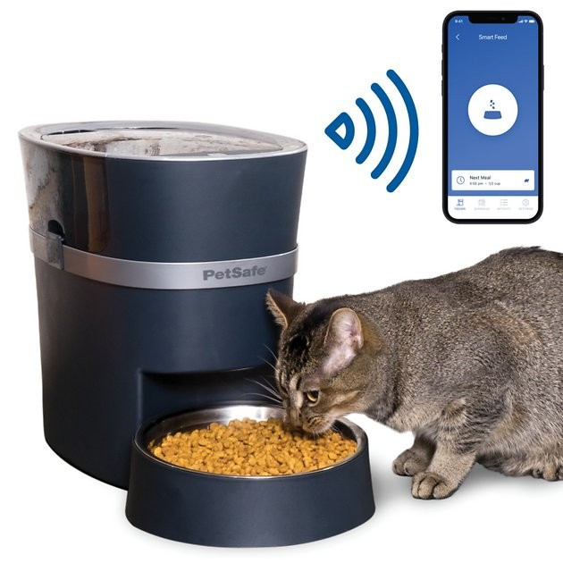 PetSafe Smart Feed 2.0 Wifi-Enabled Automatic Dog & Cat Feeder, Blue | Chewy.com