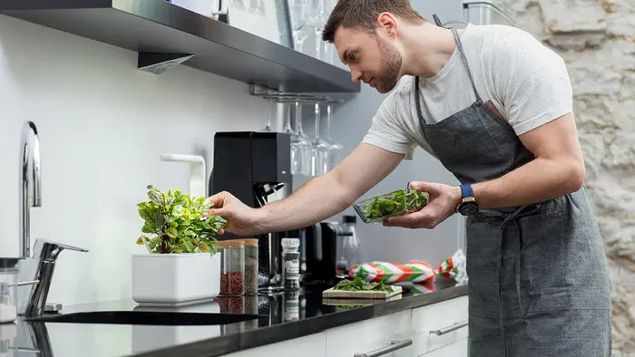 Click & Grow Smart Garden 3 Self Watering Indoor Garden | Nordstrom | Nordstrom