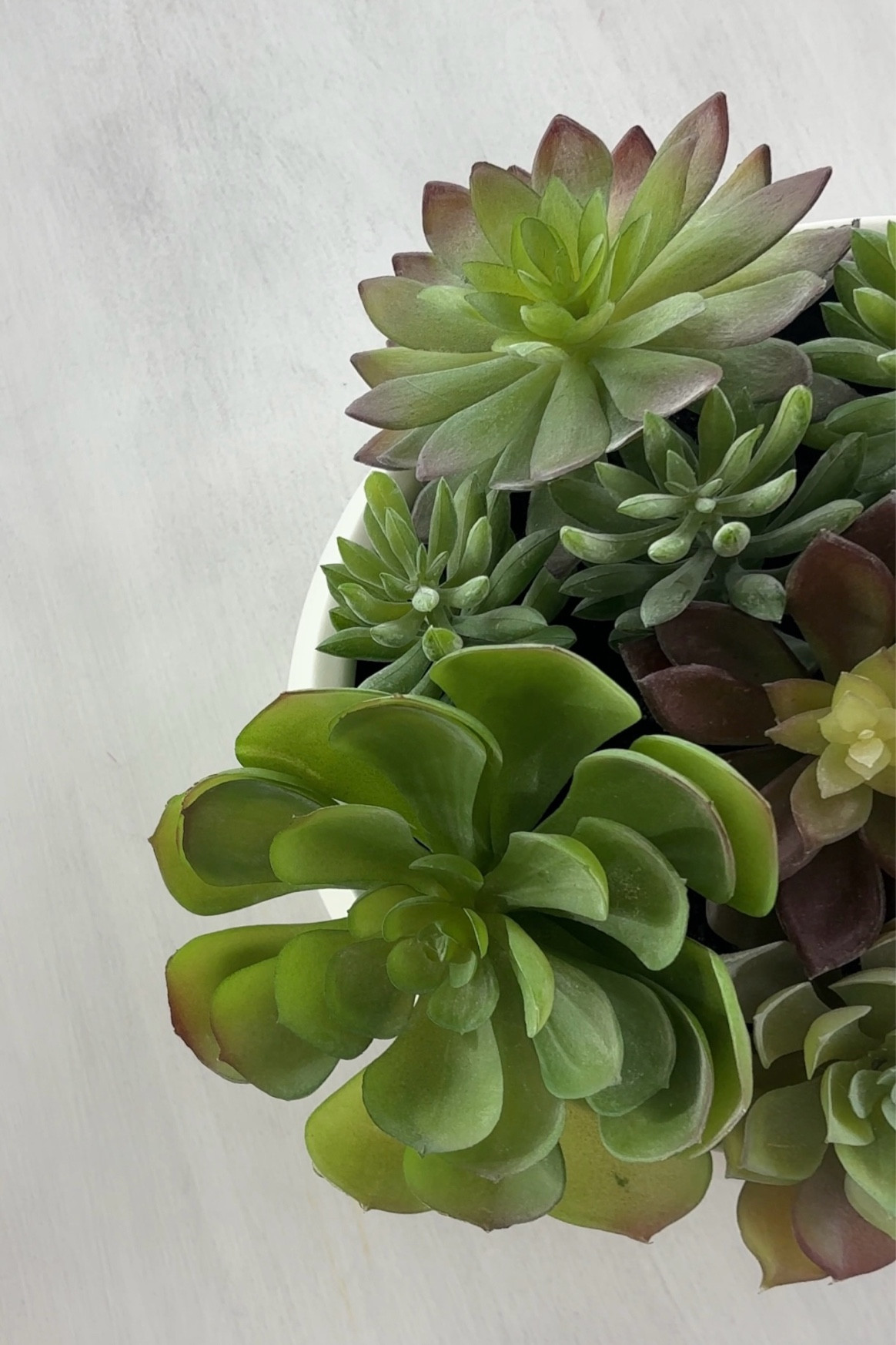 Faux Succulent centerpiece

#LTKStyleTip #LTKHome