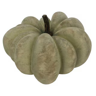 12" Sage with White Wash Decorative Pumpkin by Ashland® | Michaels | Michaels Stores
