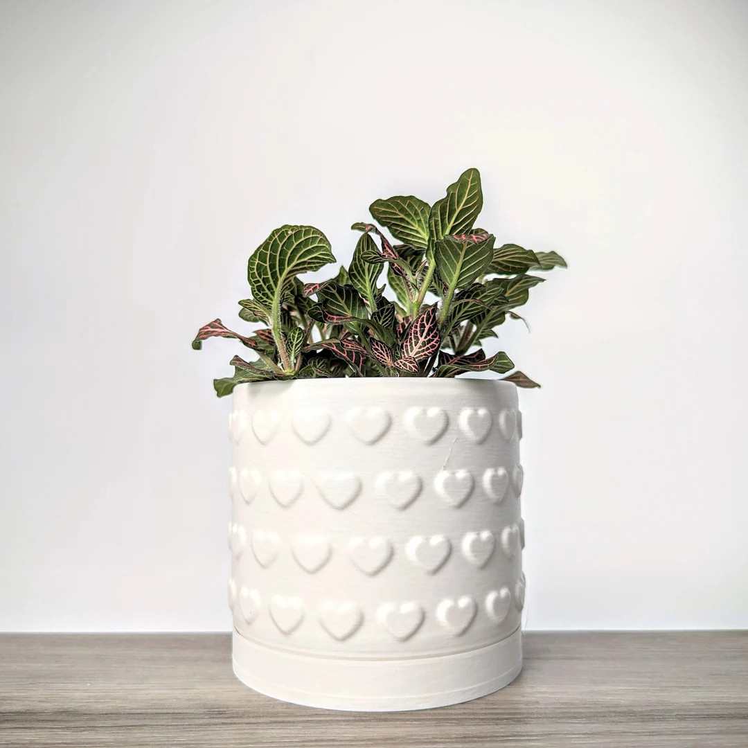 Matte White Plant Pot, Heart Pattern Planter With Drain Tray, Made From an Eco-friendly Plant Bas... | Etsy (US)