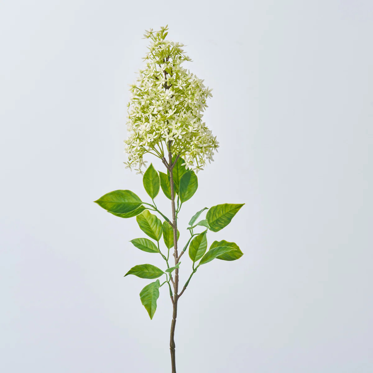 Cream Green Seeding Lilac Stem Faux Floral Branch Spray - 30" | Darby Creek Trading