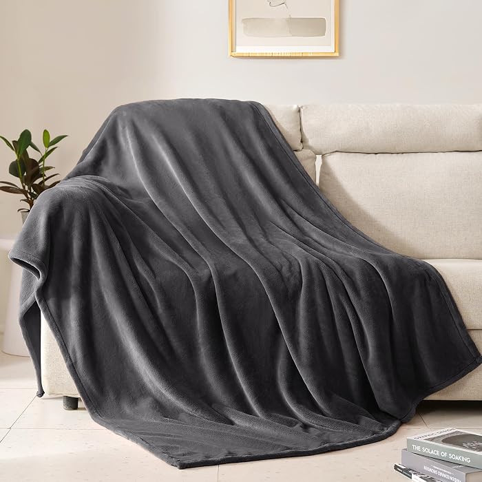 BEAUTEX Fleece Throw Blanket for Couch Sofa or Bed Throw Size, Soft Fuzzy Plush , Luxury Flannel ... | Amazon (US)