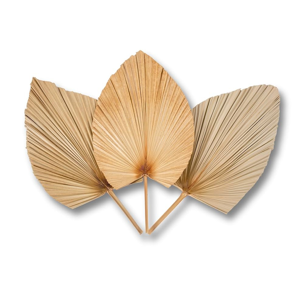 3Pcs 28" Large Natural Trimmed Palm Leaves Dried Palms Leaves Fans Boho Wedding Decor Kitchen Tab... | Amazon (US)