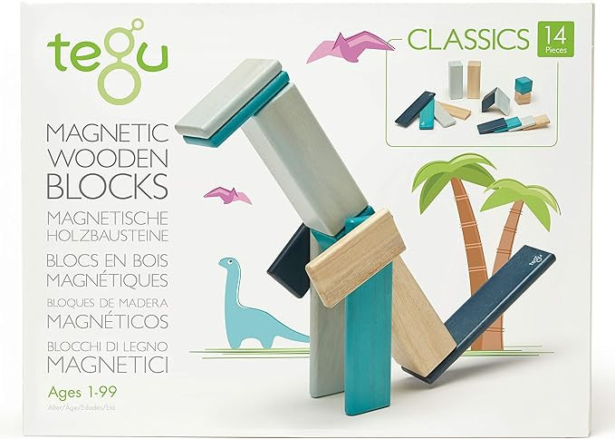 14 Piece Tegu Magnetic Wooden Block Set, Blues | Amazon (US)