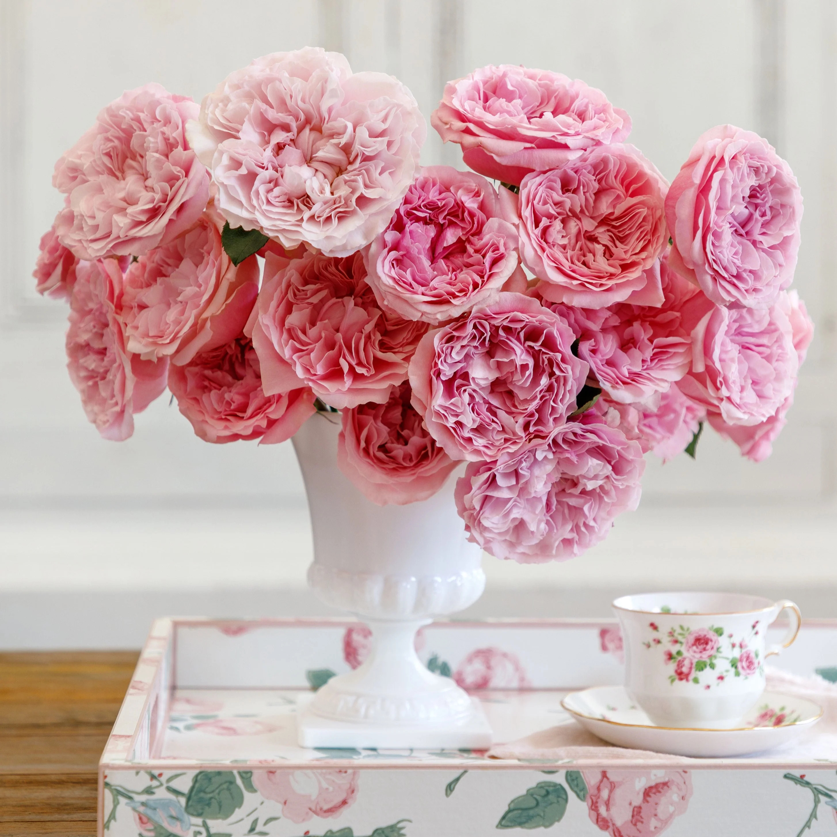 Miranda | grace rose farm