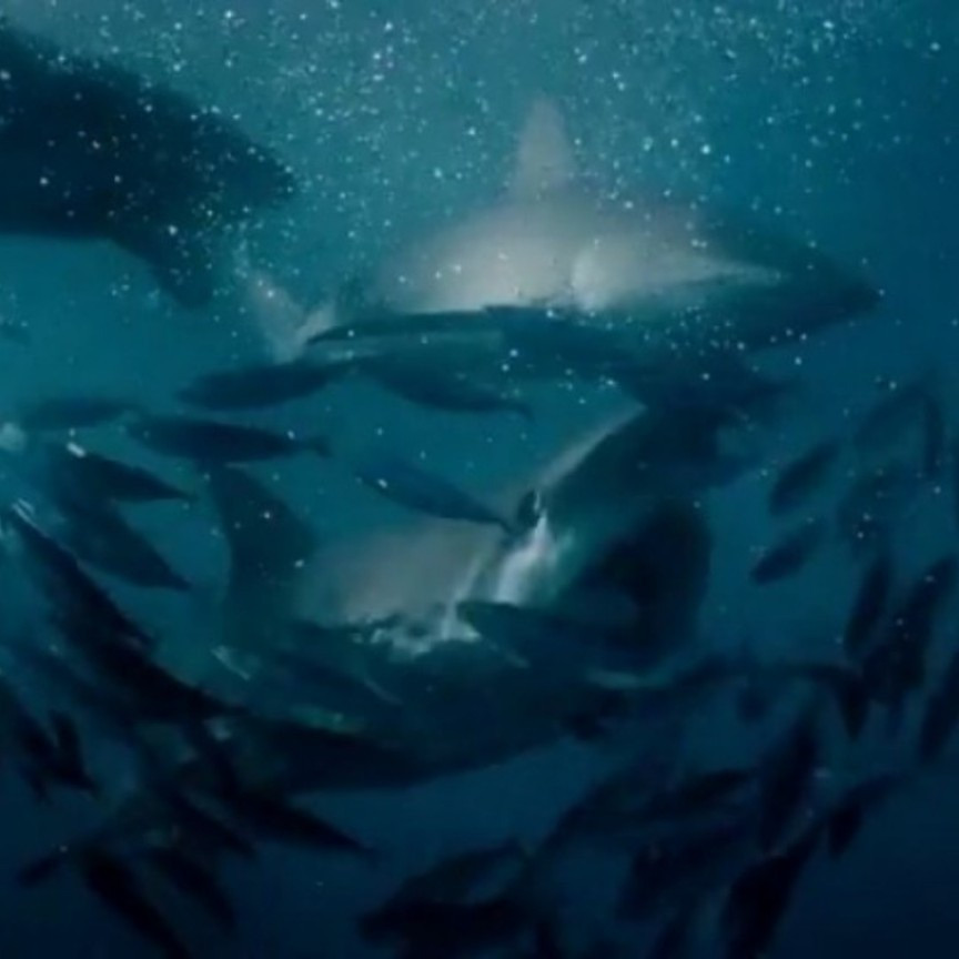 caption added 1 2 3 4

#LTKActive #LTKU #LTKTall