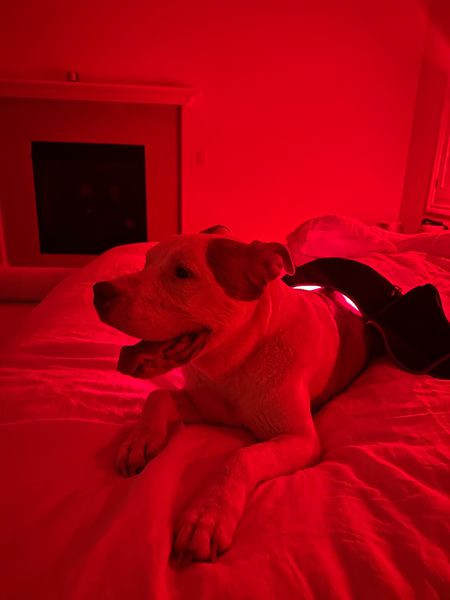 Red light therapy for inflammation, arthritis and recovery  