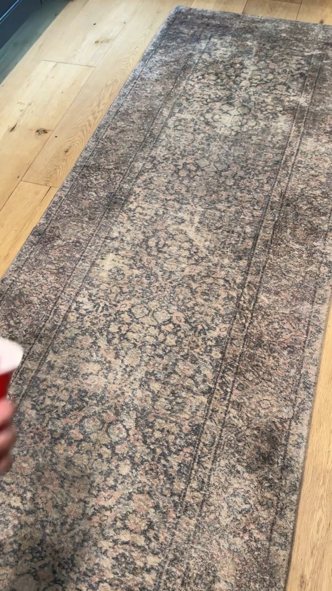 The Tineco Carpet Cleaner is 30% off for Prime Day—and it’s one of my favorite deep-clean tools for keeping our rugs and furniture looking brand new. Whether it’s spills on our vintage-style living room rug or freshening up high-traffic zones, this cleaner lifts it all without damaging the fibers. A must-have for any modern, cozy home with kids, pets, or both.


#LTKFamily #LTKSaleAlert #LTKHome
