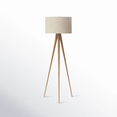 Cas 60" Tripod Floor Lamp | Wayfair North America