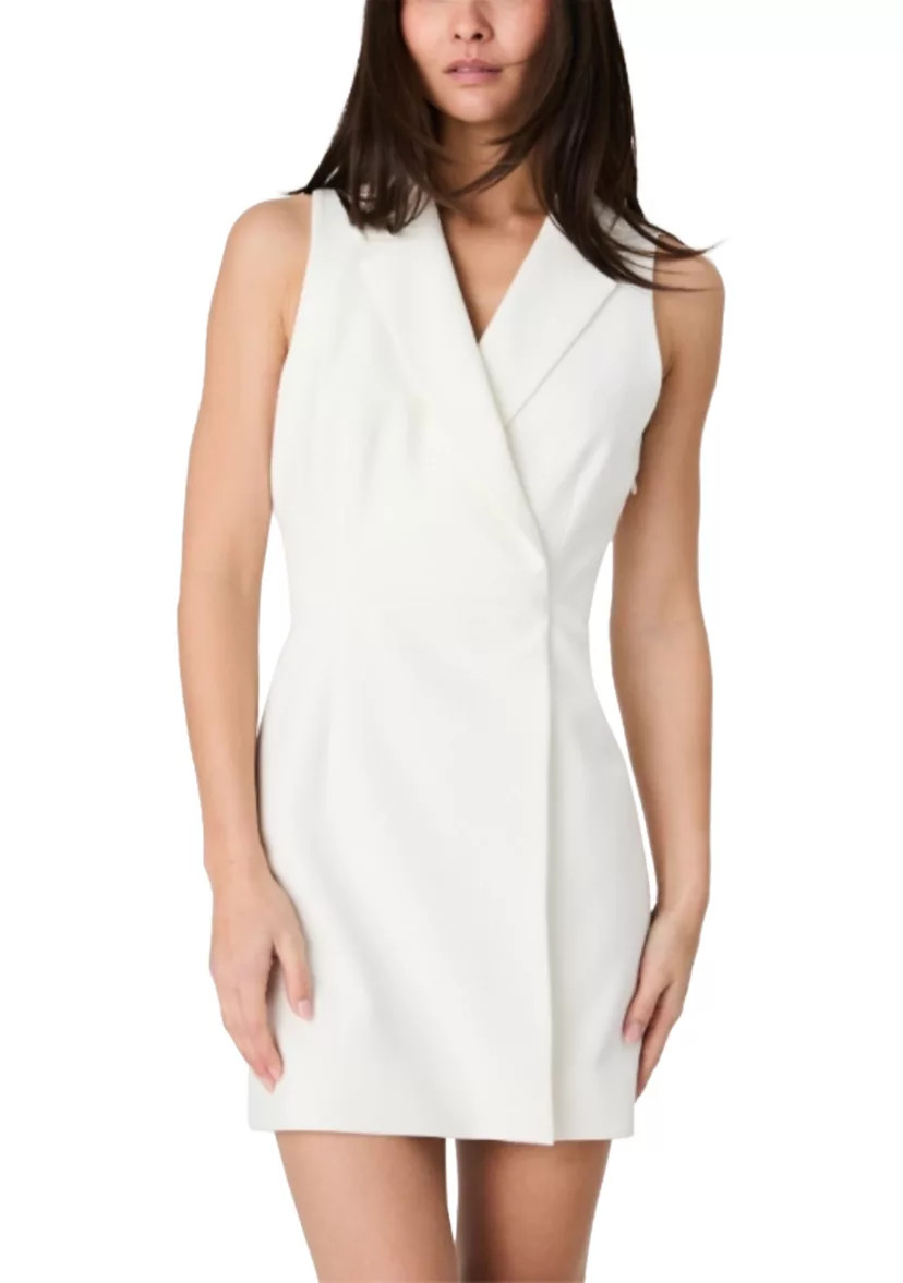 Whisper Double Breasted Mini Dress | Belk