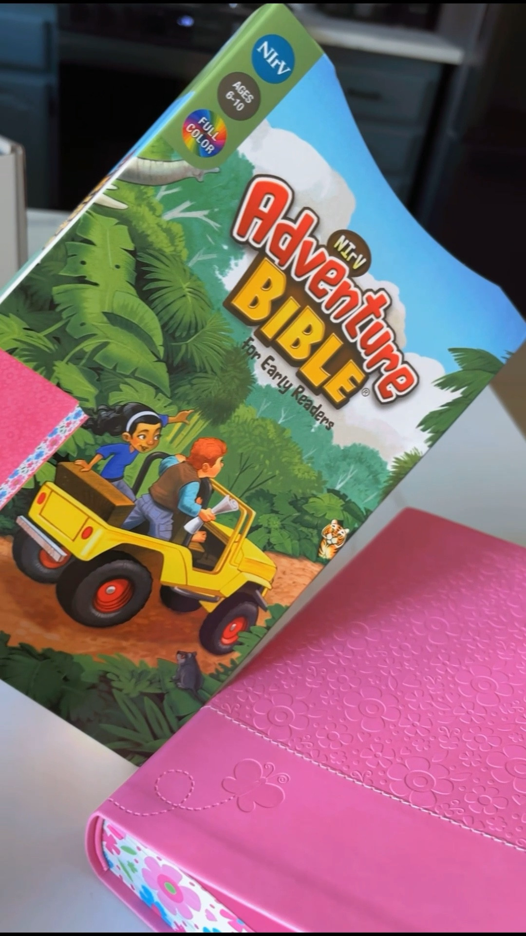 Bible for kids. Adventure Bible for early readers. 

#LTKKids #LTKHome #LTKFamily