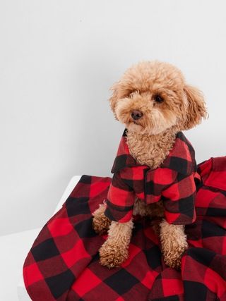 Dog PJs | Gap (US)