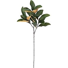 Holiday Collection Set-of-4 Faux Magnolia Leaf Stem, Premium Artificial Indoor and Outdoor Large ... | Amazon (US)