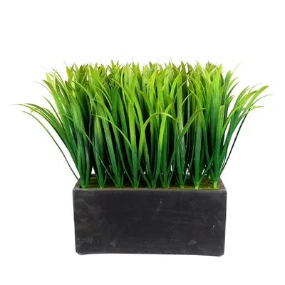 Sword Foliage Grass with Rectangular Base in Planter | Wayfair North America