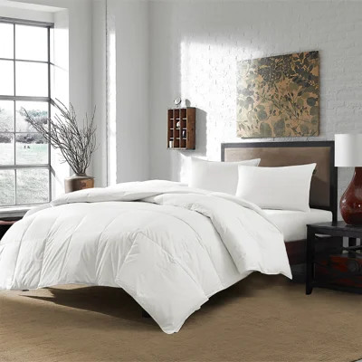 Downlite White Duck Down Hypoallergenic Comforter & Duvet Insert | Wayfair North America