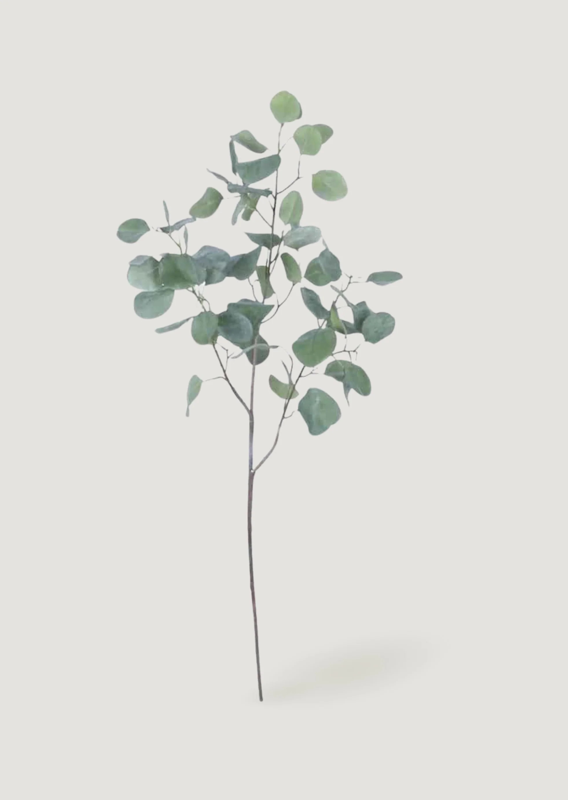 Faux Silver Dollar Eucalyptus Branch - 39" | Afloral