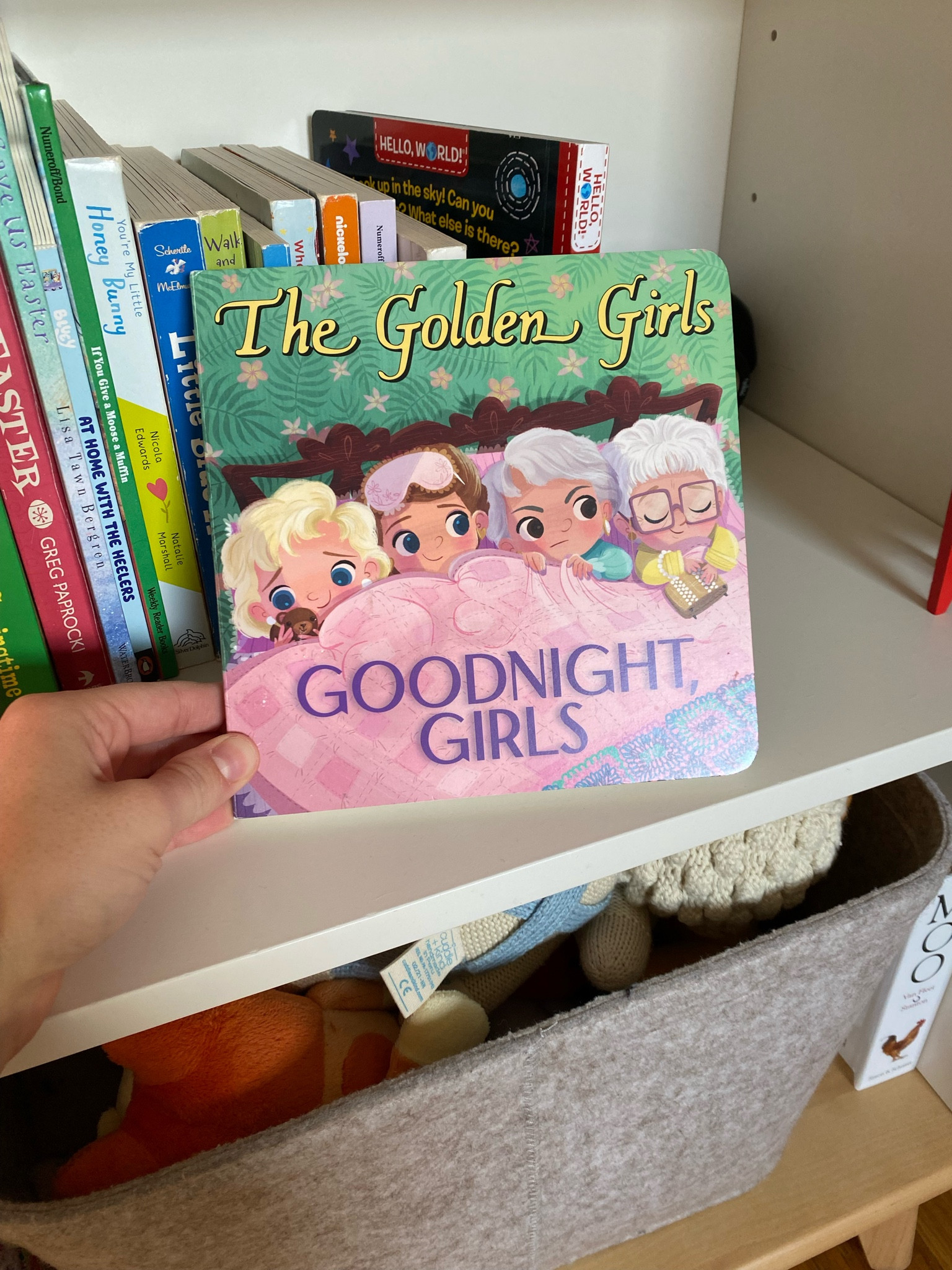 A silly bedtime book. 

#LTKfamily #LTKkids #LTKbump