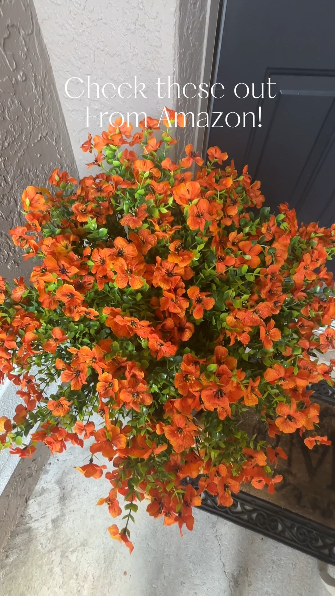 Never waste $$ on mums again! For me this is super exciting because I do NOT have the miracle hand to keep them alive. Best part is from Amazon!

#mums #fauxmums #amazonmums #fallporch #porchstyle #porchdecor #fallporchdecor #fallmums

#LTKHome #LTKFindsUnder50 #LTKSeasonal