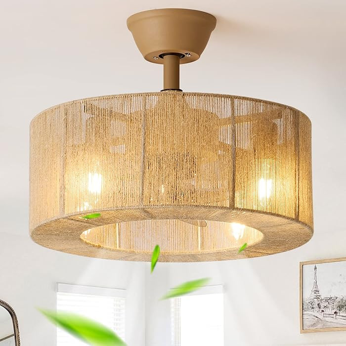 zheshirui Boho Caged Ceiling Fan with Lights, 18 Inch Rattan Fandelier Ceiling Fans with Light an... | Amazon (US)