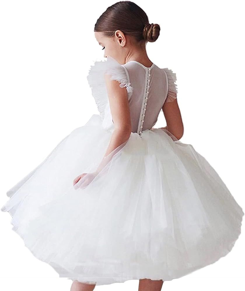 HNXDYY Flower Girl Dress Girl Tutu Birthday Party Dress Princess Wedding Formal Pegeant Gown | Amazon (US)