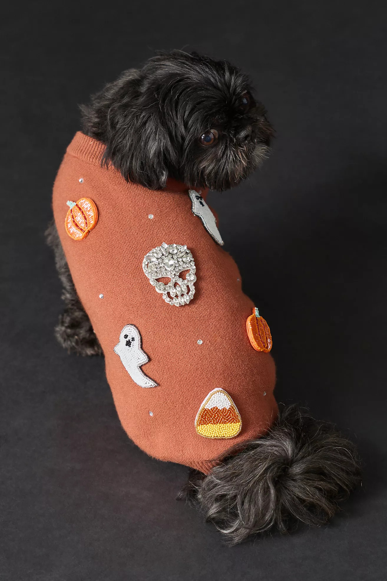 Beaded Icon Halloween Pet Sweater | Anthropologie (US)