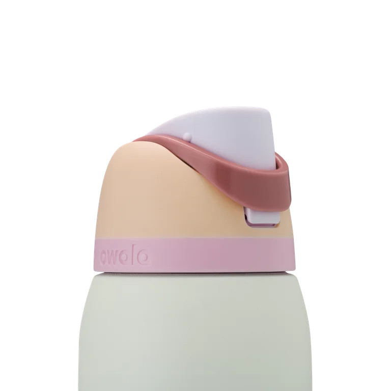 Owala FreeSip Stainless Steel Water Bottle, 32oz, Coastal Mist | Walmart (US)