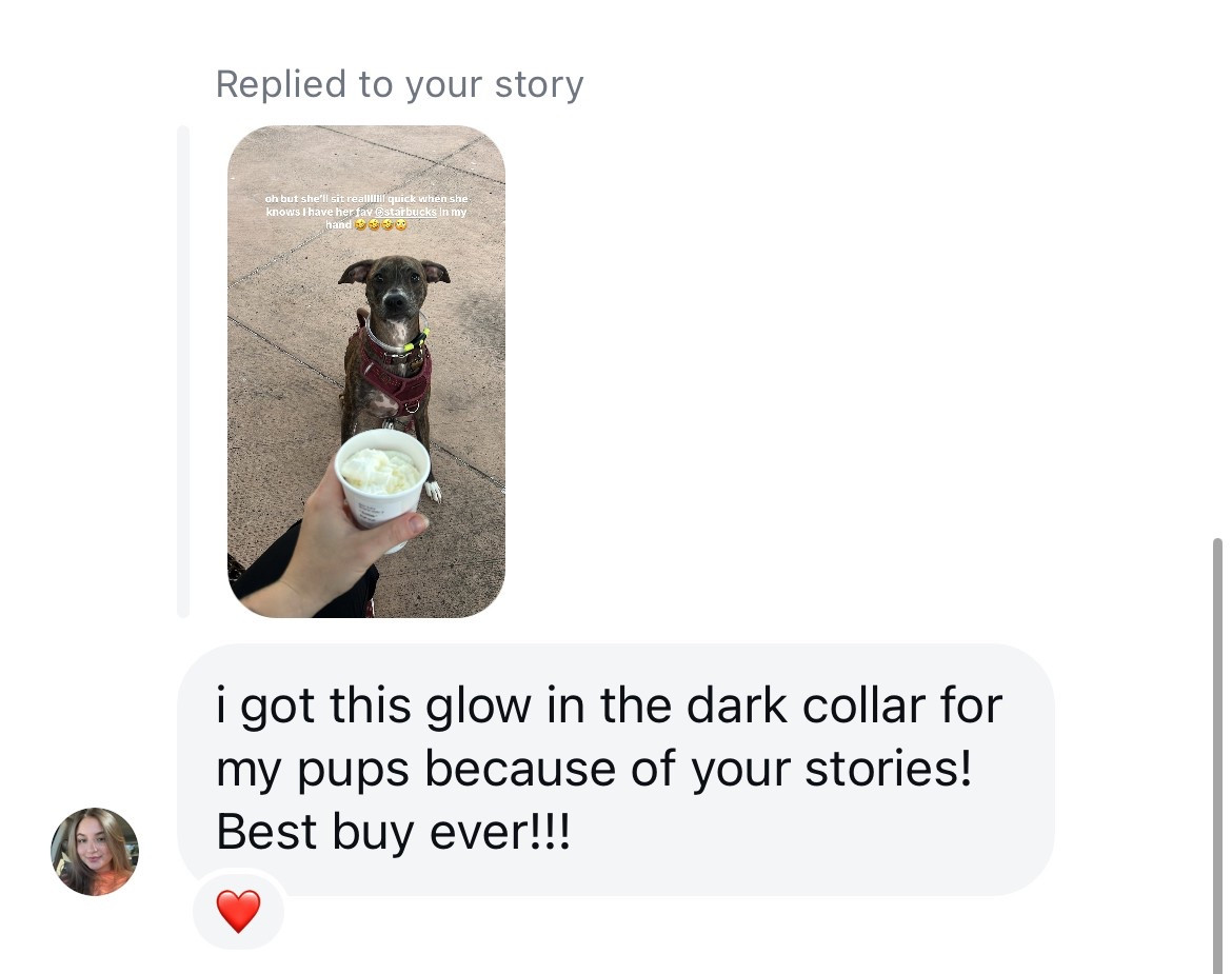 Get your fur baby a glow in the dark collar for those nighttime walks! ✨✨✨🥰🥰🫶🏻 

#LTKFindsUnder50 #LTKFindsUnder100 #LTKPets