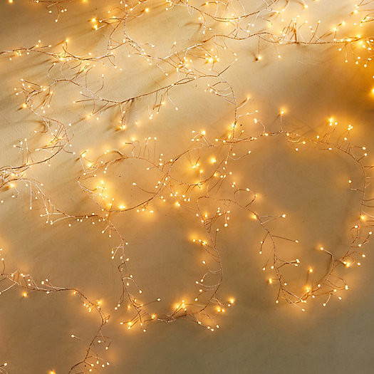 Stargazer Tendril Vine Lights | Terrain