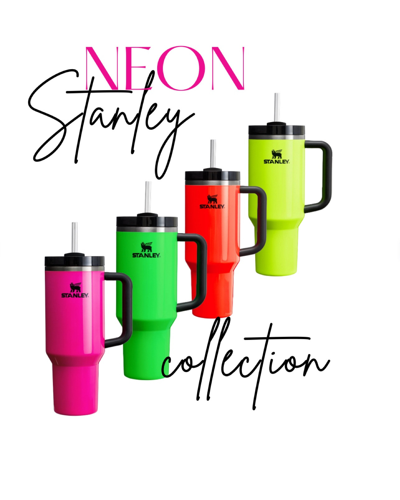 Stanleys for summer ☀️

#LTKfindsunder50 #LTKSeasonal